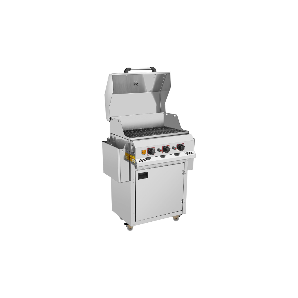 Remta R134 Profesyonel Döküm Barbekü, LPG